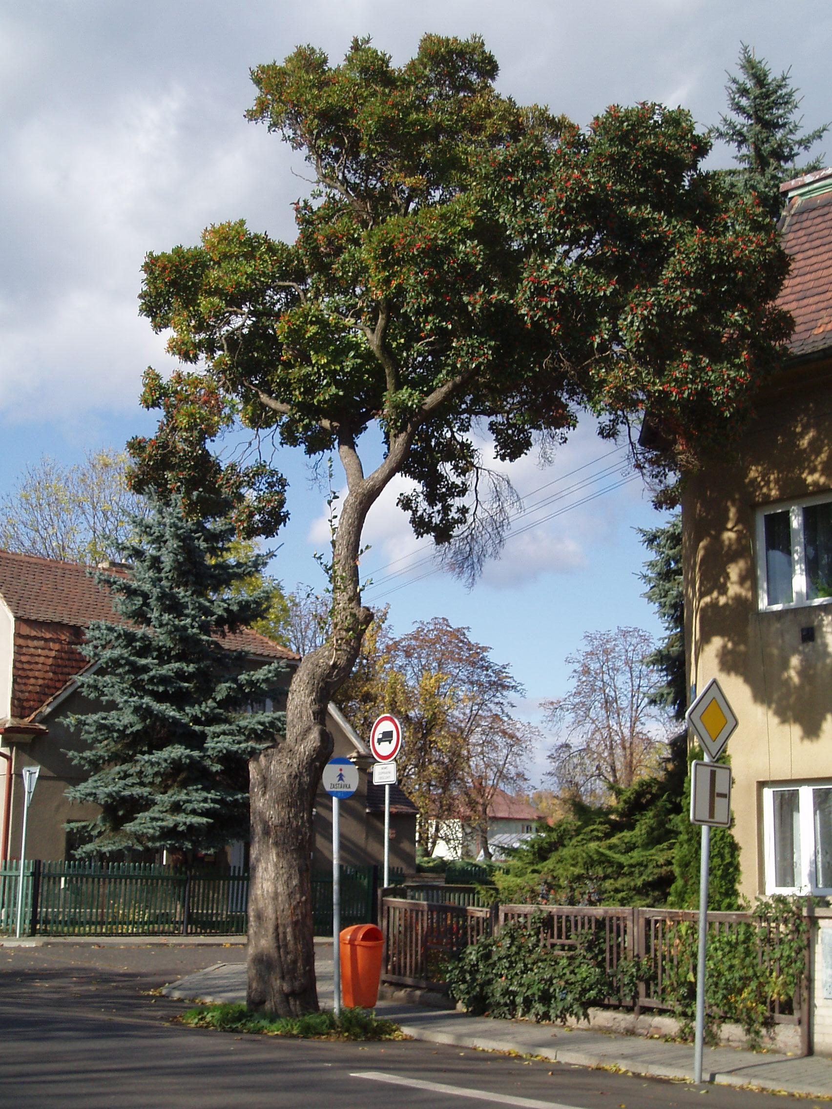 HLOH LAVALŮV