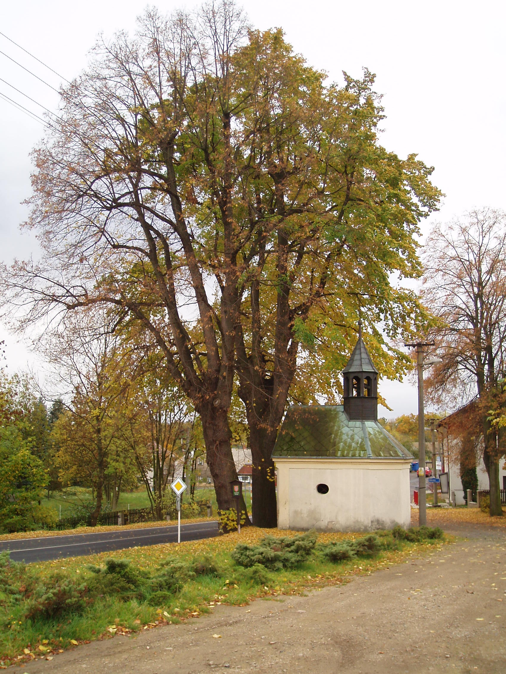 LÍPY U KAPLE V KŘIŽANOVĚ